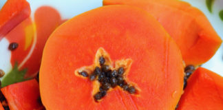 Nuove piante dai semi di frutta e verdura – parte 2 714 0 040 Nuove piante dai semi di frutta e verdura 2